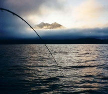 west coast vancouver island