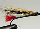 black nosed dace fish fly
