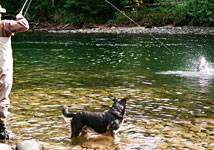 Freshwater fly fishing with Island Tides Vancouver Island fishing lodge.