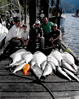 Saltwater Fishing 2010